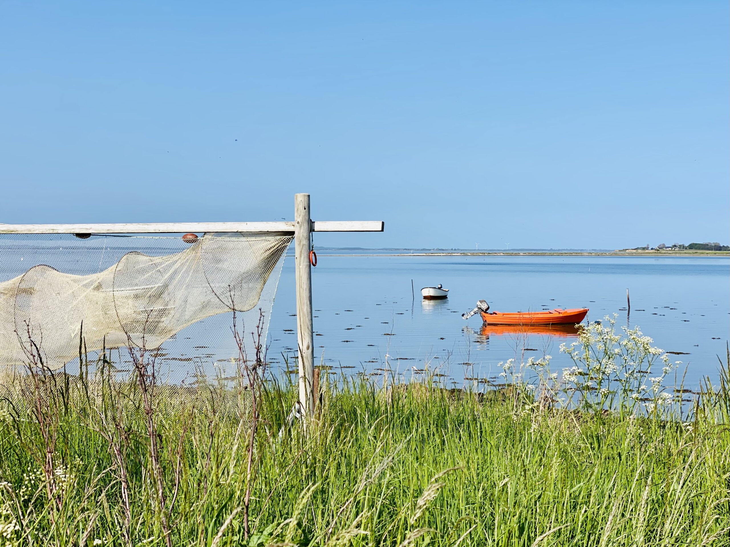 Segeln Dänemark Ostsee von Ærøskobing aus